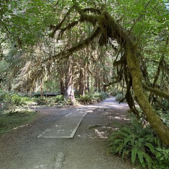 Olympic National Park - Parks Near Me - Port Angeles, Washington