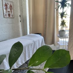 Quintessential Therapy - Our wellness oasis