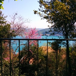 Boğaziçi Üniversitesi