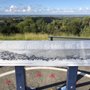Photo of Maclean Lookout