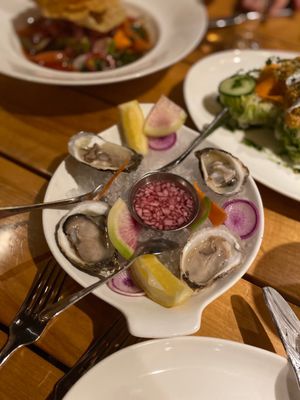 Ox and Anchor by null