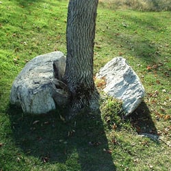 Right off #15 green, The rock the course is named after.