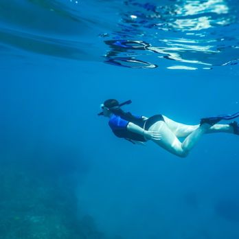 Teralani Sailing Adventures - underwater photo - Boating Near Me - Lahaina, Hawaii Teralani Sailing Adventures - underwater photo - Boating Near Me - Lahaina, Hawaii