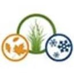 Blakney Lawn Maintenance