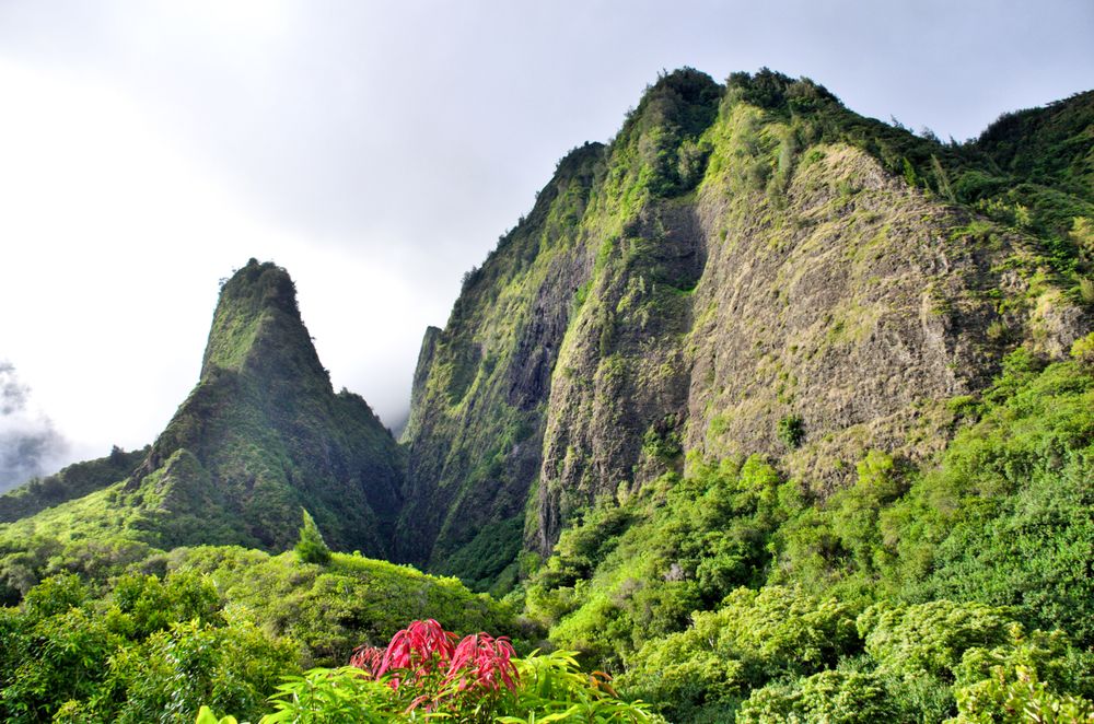 Maui Journeys Logo