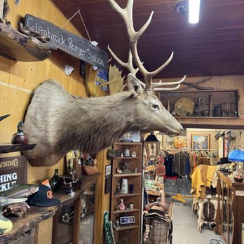 Forged N Found - Antiques Near Me - Grants Pass, Oregon