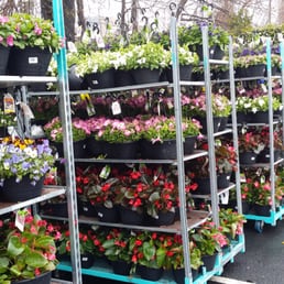 Yay spring!