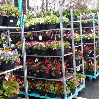 The Home Depot - Yay spring! - Nurseries & Gardening Near Me - Port Chester, New York