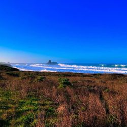 Boucher Trail - Incredible views from the trail (Piedras Blancas Lighthouse in the distance to the left)!