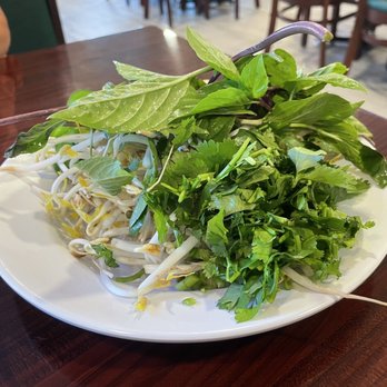 Pho Viet Restaurant - All the fresh inclusions. Thai Basil, cilantro, bean sprouts, lime and jalapeño - Vietnamese Near Me - Brandon, Florida Pho Viet Restaurant - All the fresh inclusions. Thai Basil, cilantro, bean sprouts, lime and jalapeño - Vietnamese Near Me - Brandon, Florida