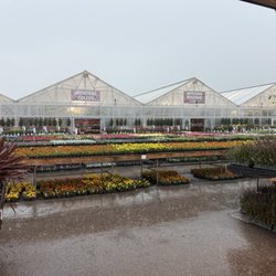 Pesche's Flowers - Not crowded when buying flowers during a rainstorm!