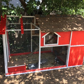 Wes's Pets & Feeds - The side of the coop with a feeder in the corner that Mario and his team made. - Pet Stores Near Me - El Monte, California Wes's Pets & Feeds - The side of the coop with a feeder in the corner that Mario and his team made. - Pet Stores Near Me - El Monte, California