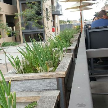 Sushi Brokers - Sushi Bars Near Me - Gilbert, Arizona