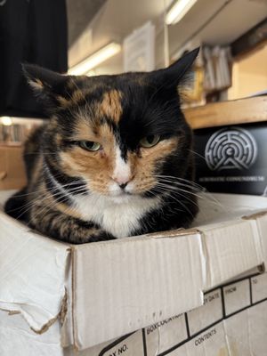 Twice Sold Tales by null