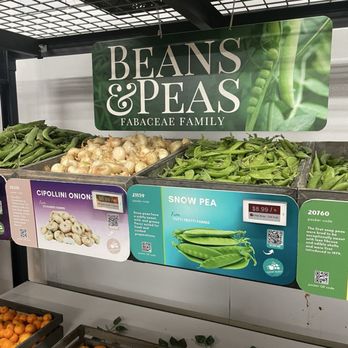 Specialty Produce - Beans and peas homey! - Fruits & Veggies Near Me - San Diego, California Specialty Produce - Beans and peas homey! - Fruits & Veggies Near Me - San Diego, California