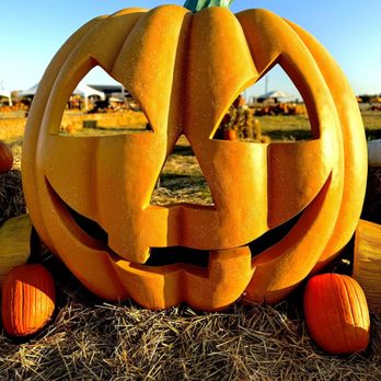 Texas Pumpkin Fest - Giant Jack-O-Lantern photo op - Pumpkin Patches Near Me - Leander, Texas
