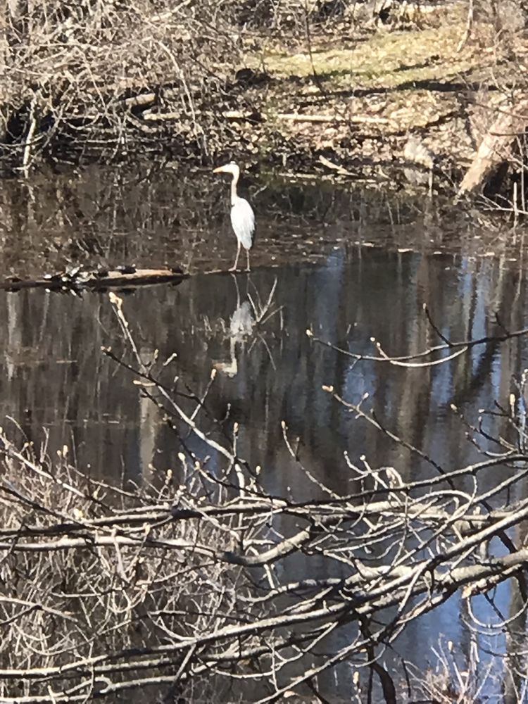 WINDHAM RAIL TRAIL Updated September 2024 31 Photos & 16 Reviews