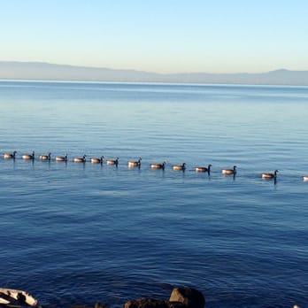 San Leandro Marina - Saw this today during my morning jog - Parks Near Me - San Leandro, California San Leandro Marina - Saw this today during my morning jog - Parks Near Me - San Leandro, California