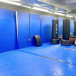 Training mat