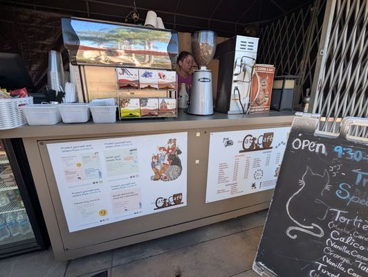 The Cat Cafe by null