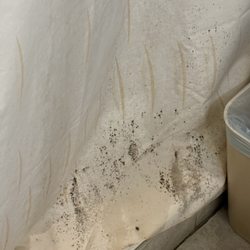 Village Inn - Shower curtain