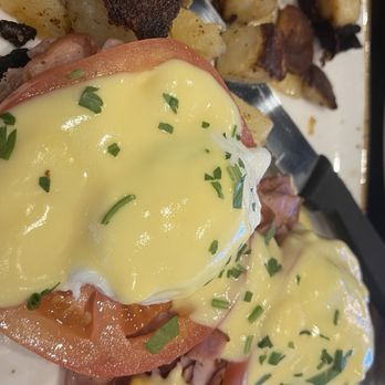 First Watch - Traditional egg Benedict - Breakfast & Brunch Near Me - Town & Country, Missouri