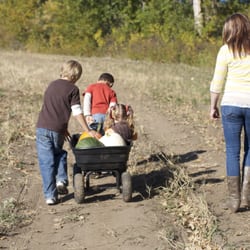 Huffman Farms U-Pick Pumpkin Patch - Loading up