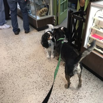 Antique Specialty Mall - Dog - Antiques Near Me - Albuquerque, New Mexico