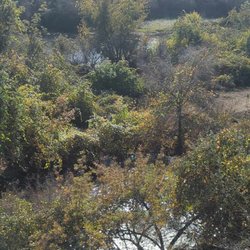 Waterford Toulumne River Parkway