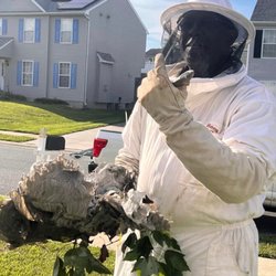 Peoples Pest Control