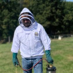 Ohio Valley Pest Control - Wasp and hornet removal in Marietta, Ohio