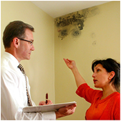 Safe Air Fast Environmental - Home Mold Removal Company San Francisco