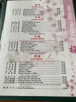 Menu photo 5 Ming's Garden Bucksport, ME