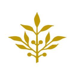 Kneller Insurance Agency