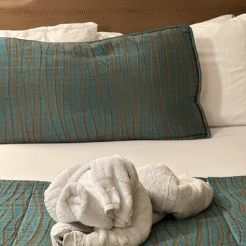 Pacific Terrace Hotel - Elephant towel - San Diego, CA