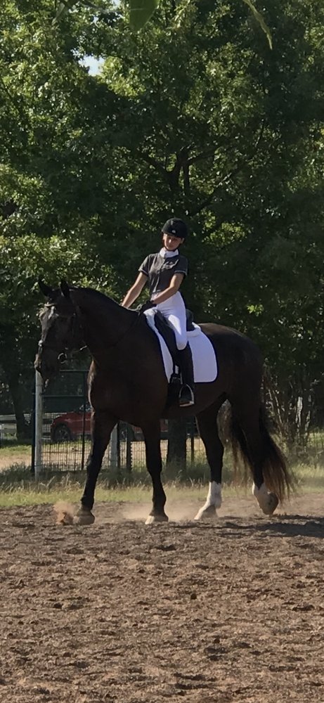 For the love of horses - equestrian in Oklahoma City, OK