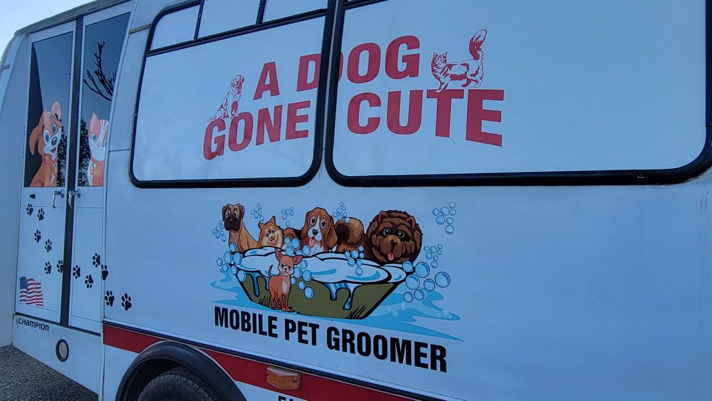 A DOG GONE CUTE MOBILE PET GROOMING Updated October 2024 13 Photos