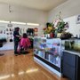 Photo of Moon Salon