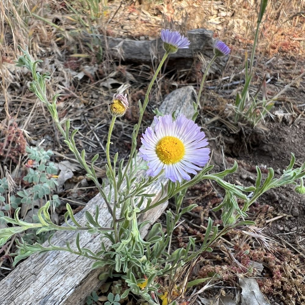 Foster Point - Hiking Near Me