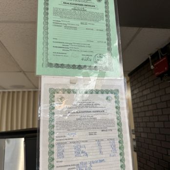 Shish Taouk - Halal certification - Lebanese Near Me - Mission Viejo, California Shish Taouk - Halal certification - Lebanese Near Me - Mission Viejo, California