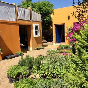 Vivero de Playas - Nurseries & Gardening Near Me - Tijuana, BCN