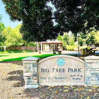 Big Tree Park - Big Tree Park (Glendora) -- iconic sign and super clean park area. - Parks Near Me - Glendora, California Big Tree Park - Big Tree Park (Glendora) -- iconic sign and super clean park area. - Parks Near Me - Glendora, California