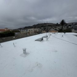 Tip Top Roofing - Tpo roof