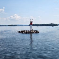 Thousand Islands Cruise Ships