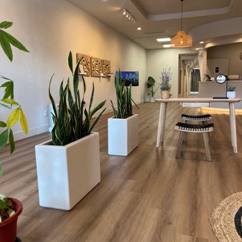 Bell’s Lashes - Plants, minimalistic style, dim but well lit lobby, calming music aswell. - Eyelash Service Near Me - West Covina, California