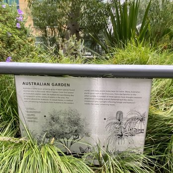 Salesforce Park - 10.15.22 Australian Garden - Parks Near Me - San Francisco, California
