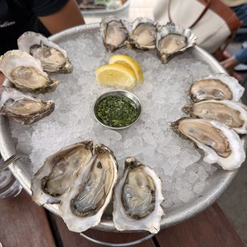 Hog Island Oyster Co - Seafood Near Me - Napa, California Hog Island Oyster Co - Seafood Near Me - Napa, California