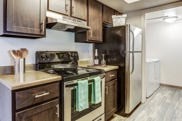 Springs of Country Woods