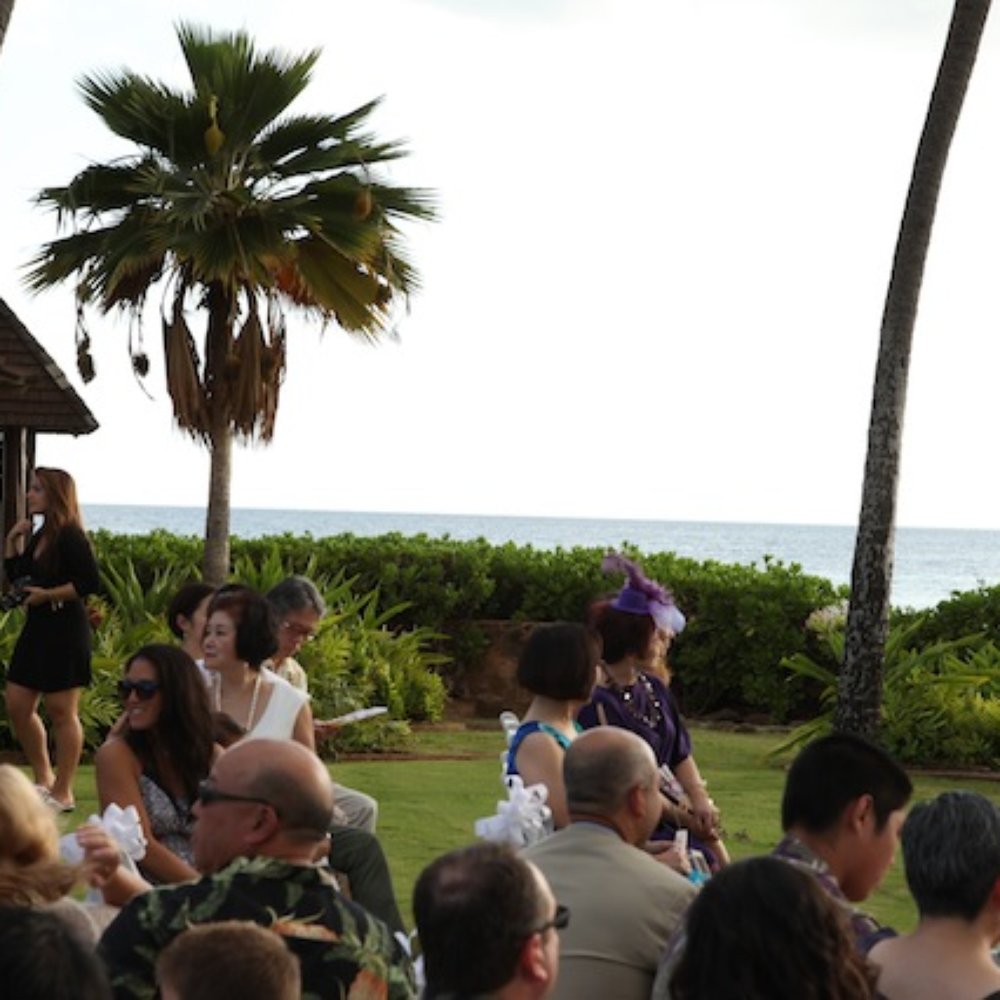 Kika - Performing Arts Near Me - Honolulu, Hawaii Kika - Performing Arts Near Me - Honolulu, Hawaii