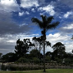 Costa Mesa Country Club - Los Lagos, meaning many lakes...